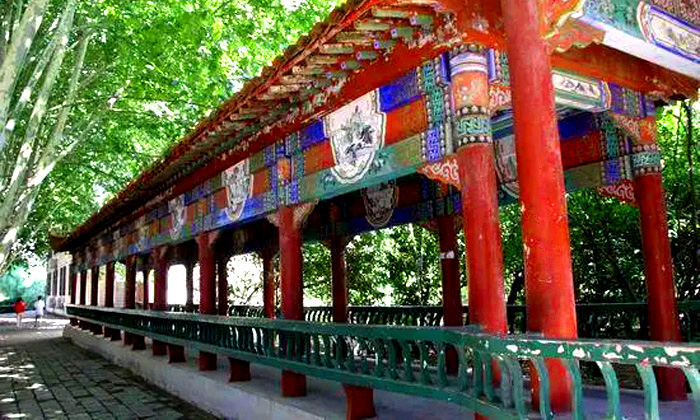 校内画廊